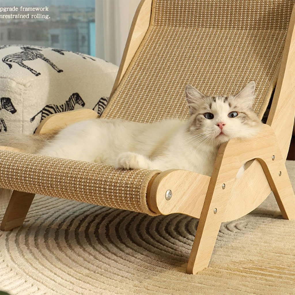 chaise-chat-2